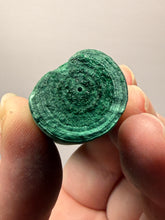 Load image into Gallery viewer, 4.2” High-Grade Malachite Stalactite Botryoidal “Cave” Formation | DR Congo | Mineral Collector Specimen
