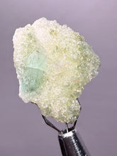 Load image into Gallery viewer, Luminous Mint Apophyllite with Glittering Druzy Sugar Quartz – India
