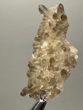 Load image into Gallery viewer, Smoky Quartz Crystal Specimen | Natural Collector Mineral – Brazil
