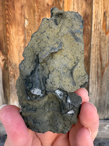 Clear Gem Apophyllite Cluster on black matrix • Maharashtra, India
