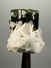Load image into Gallery viewer, Dark Green Cap Stak Nala Tourmaline with Cleavelandite Flower – Haramosh Mountains, Pakistan | Thumbnail Specimen
