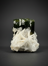 Load image into Gallery viewer, Dark Green Cap Stak Nala Tourmaline with Cleavelandite Flower – Haramosh Mountains, Pakistan | Thumbnail Specimen
