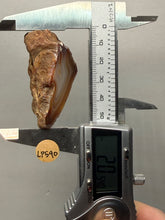 Load image into Gallery viewer, Premium Sumatra Agate (Banded Chalcedony) Display Specimen | Indonesia
