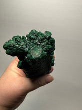 Load image into Gallery viewer, 7.1” Museum-Grade Druzy Malachite Stalactite “Cave” Formation | DR Congo | Mineral Collector Specimen
