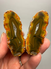 Load image into Gallery viewer, High-Grade Indonesian Sumatra Agate Pair – Vibrant Banded Chalcedony with Rich Color Zoning | Ethical Lapidary &amp; Collector Display Specimens

