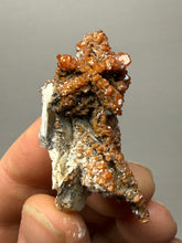 Load image into Gallery viewer, Natural Vanadinite on Matrix | Collector Mineral Specimen | Morocco
