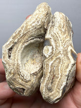 Load image into Gallery viewer, Premium Sumatra Agate Pair (Banded Chalcedony) Display Specimen | Indonesia

