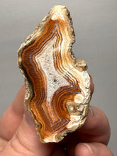 Load image into Gallery viewer, Premium Sumatra Agate (Banded Chalcedony) Display Specimen | Indonesia
