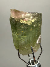 Load image into Gallery viewer, Raw Bi-Color Tourmaline Crystal Specimen | Ocean View Mine, Pala, California, USA
