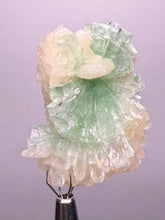 Load image into Gallery viewer, Green Radial “Disco Ball” Apophyllite | Maharashtra, India
