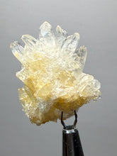 Load image into Gallery viewer, 1.4” High-Grade Flower Calcite Specimen | Wenshan Mine, Yunnan, China | Collector Mineral Display
