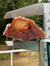 Load image into Gallery viewer, “Fiery Frozen Lake of the Atlas” – Scenic Plume Carnelian Agate from Morocco” • Polished
