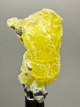 Load image into Gallery viewer, Vibrant Yellow Brucite Thumbnail Mineral Specimen | Collector Crystal from Killa Saifullah District in Balochistan Province, Pakistan
