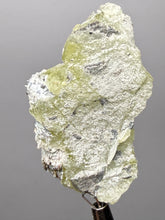 Load image into Gallery viewer, Vibrant Yellow Brucite Thumbnail Mineral Specimen | Collector Crystal from Killa Saifullah District in Balochistan Province, Pakistan
