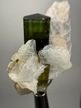 Load image into Gallery viewer, Deep Green Stak Nala Tourmaline with Cleavelandite – Haramosh Mountains, Pakistan | Thumbnail Specimen
