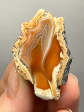 Load image into Gallery viewer, Premium Sumatra Agate (Banded Chalcedony) Display Specimen | Indonesia
