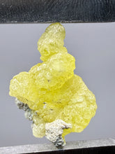 Load image into Gallery viewer, Vibrant Yellow Brucite Thumbnail Mineral Specimen | Collector Crystal from Killa Saifullah District in Balochistan Province, Pakistan
