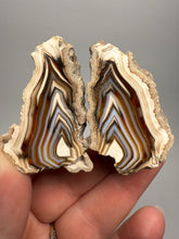 Load image into Gallery viewer, High-Grade Indonesian Sumatra Agate Pair – Vibrant Banded Chalcedony with Rich Color Zoning | Ethical Lapidary &amp; Collector Display Specimens
