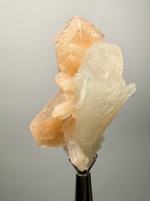 Load image into Gallery viewer, High-Grade Apophyllite on Pink Stilbite Zeolite | Indian Collector Mineral Specimen
