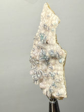 Load image into Gallery viewer, Blue-Green Chrysocolla in Botryoidal Chalcedony Cabinet Specimen | Indonesia
