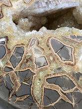 Load image into Gallery viewer, Septarian Nodule with Golden Barite Gems from Utah
