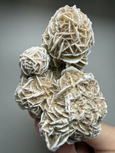Load image into Gallery viewer, Desert Rose Selenite (Gypsum) — Mineral Display Specimen | Mexico
