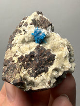 Load image into Gallery viewer, Rare Electric Blue Pentagonite on Druzy Matrix – Collector Mineral Specimen | India
