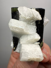 Load image into Gallery viewer, Blue and Green Cap Stak Nala Tourmaline w Double Terminated Quartz on Cleavelandite Matrix – Haramosh Mountains, Pakistan
