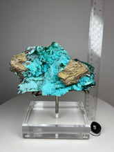 Load image into Gallery viewer, Chrysocolla Druzy Botryoidal Stalactites Pseudomorph after Malachite on Matrix from Congo • Fine Mineral Collector’s Showpiece
