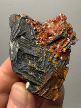 Load image into Gallery viewer, Natural Vanadinite on Matrix | Collector Mineral Specimen | Morocco
