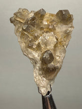 Load image into Gallery viewer, Smoky Quartz Crystal Specimen | Natural Collector Mineral – Brazil
