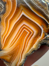 Load image into Gallery viewer, High-Grade Indonesian Sumatra Agate Pair – Vibrant Banded Chalcedony with Rich Color Zoning | Ethical Lapidary &amp; Collector Display Specimens
