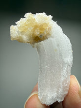 Load image into Gallery viewer, RARE COMBO Moroccan Ram’s Horn Selenite (Gypsum) with Yellow Botryoidal Fluorite Display Specimen
