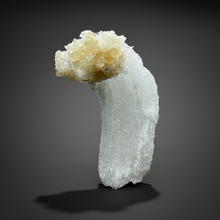 Load image into Gallery viewer, RARE COMBO Moroccan Ram’s Horn Selenite (Gypsum) with Yellow Botryoidal Fluorite Display Specimen
