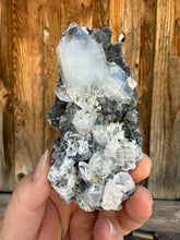Load image into Gallery viewer, Clear Gem Apophyllite Cluster on black matrix • Maharashtra, India
