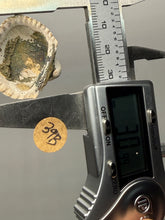 Load image into Gallery viewer, Bivalve (Pelecypoda) Fossil Sea Shell with Chalcopyrite | Mineralized Fossil Specimen | Indonesia
