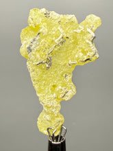 Load image into Gallery viewer, Vibrant Yellow Brucite Thumbnail Mineral Specimen | Collector Crystal from Killa Saifullah District in Balochistan Province, Pakistan
