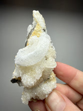 Load image into Gallery viewer, Moroccan Ram’s Horn Selenite (Gypsum) Crystal Display Specimen
