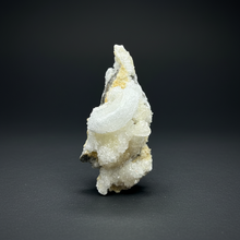 Load image into Gallery viewer, Moroccan Ram’s Horn Selenite (Gypsum) Crystal Display Specimen
