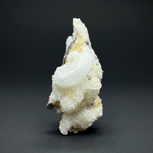 Load image into Gallery viewer, Moroccan Ram’s Horn Selenite (Gypsum) Crystal Display Specimen
