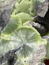 Load image into Gallery viewer, High-Grade Green Wavellite Collectors Specimen - Radiating Botryoidal Crystal Formation - Arkansas, USA
