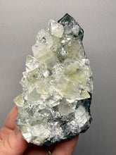 Load image into Gallery viewer, High-Grade Green Apophyllite on Black Chalcedony – Deccan Traps, Maharashtra, India (Collector Cabinet Specimen)
