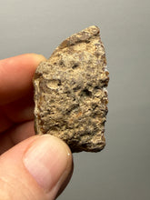 Load image into Gallery viewer, Premium Sumatra Agate (Chalcedony) Display Specimen | Indonesia
