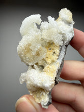 Load image into Gallery viewer, Moroccan Ram’s Horn Selenite (Gypsum) Crystal Display Specimen
