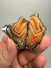 Load image into Gallery viewer, High-Grade Indonesian Sumatra Agate Pair – Vibrant Banded Chalcedony with Rich Color Zoning | Ethical Lapidary &amp; Collector Display Specimens
