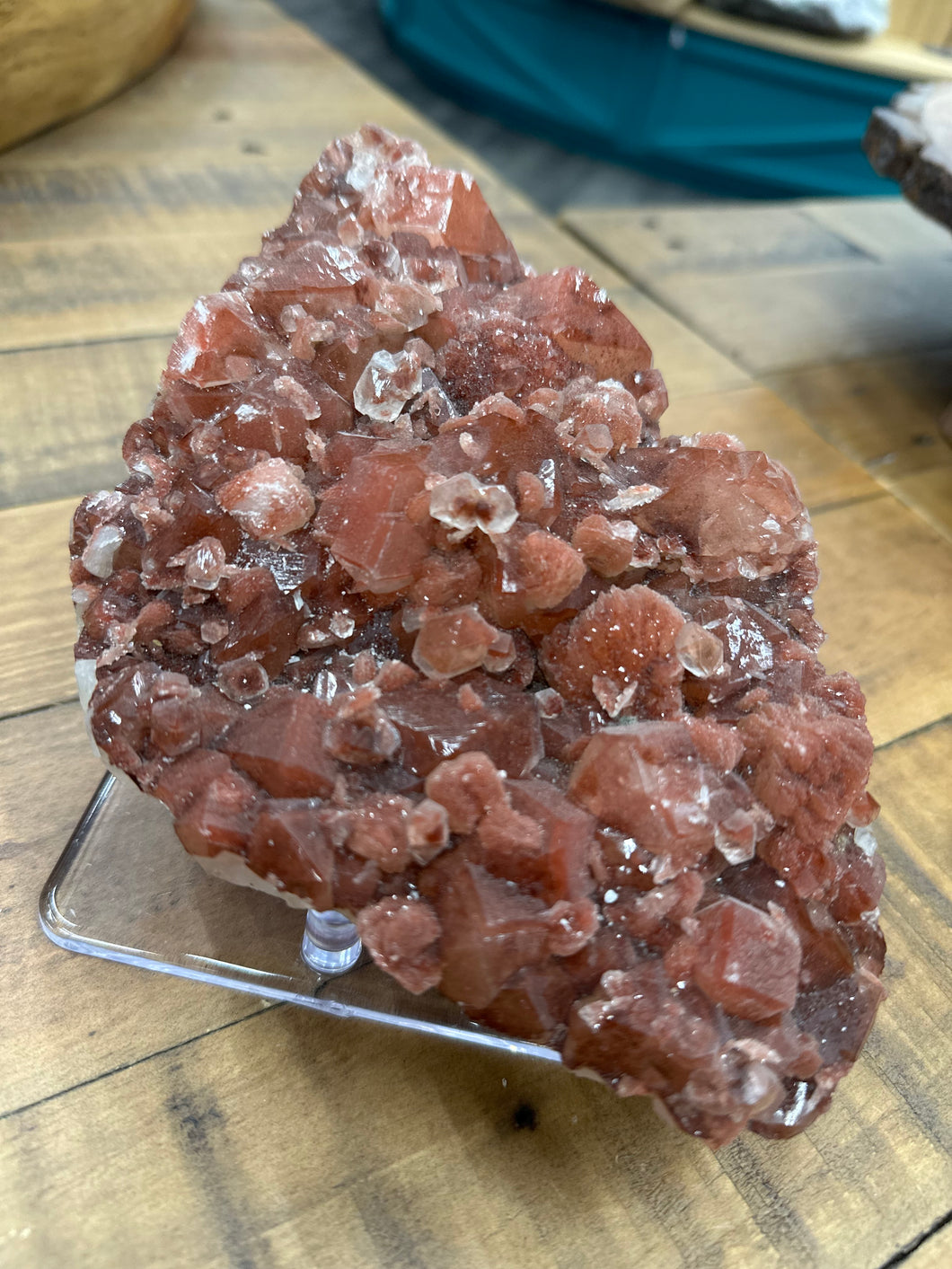 Red Druzy Phantom Apophyllite w Stilbite VERY RARE • Maharashtra, India