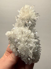 Load image into Gallery viewer, High-Grade Chrysanthemum Quartz (Needle Quartz) Spray Cluster | Jiangxi, China
