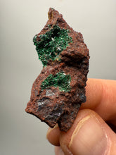 Load image into Gallery viewer, Brochantite Collector Mineral Specimen – Vivid Green Copper Crystals from Morocco
