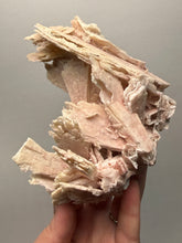 Load image into Gallery viewer, Rare Natural Pink Anhydrite Collector Mineral | Brazil
