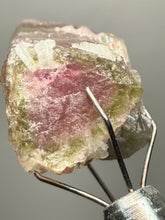 Load image into Gallery viewer, Raw Bi-Color Tourmaline Crystal Specimen | Ocean View Mine, Pala, California, USA
